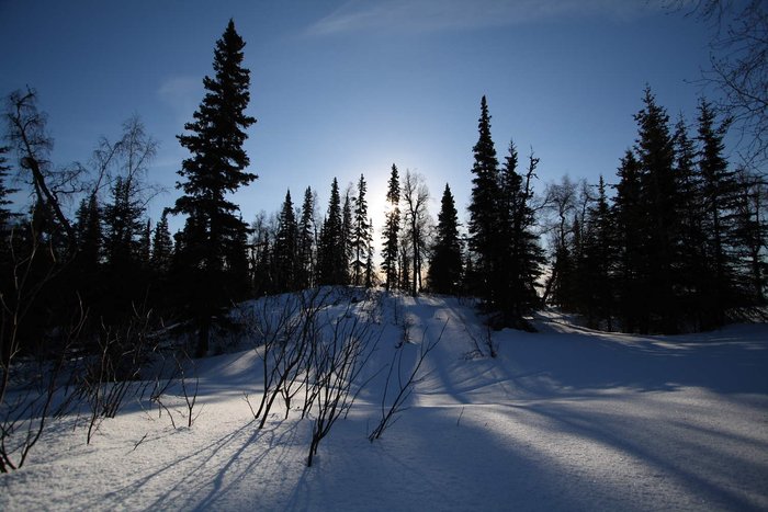 In the winter of 2008, we skied through the site of the proposed <a href="http://www.groundtruthtrekking.org/Issues/AlaskaCoal/ChuitnaCoalMine.html">Chuitna Coal Mine</a> on <a href="http://www.groundtruthtrekking.org/Journeys/WildCoast.html">our way to the Aleutian Islands</a>.