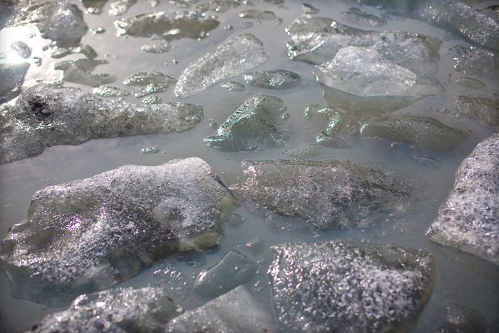 Floating ice from an overnight calving event near our camp site
