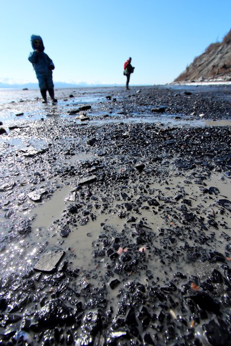 Soft sedimentary bluffs striped with coal decay into beaches of black gravel and flowing mud.