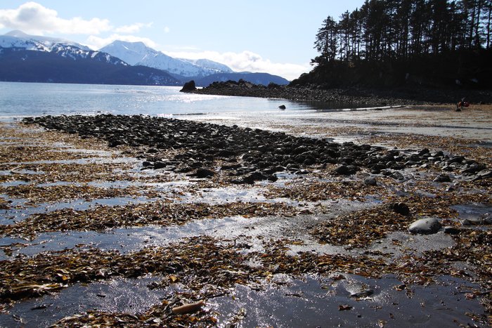 remains of an old rock jetty from the coal mine at Coal Cove