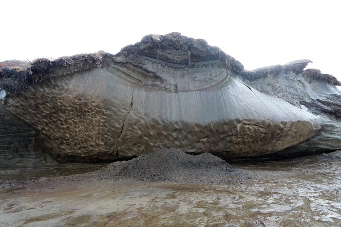 A high permafrost bank on the Seward Peninsula erodes each summer.