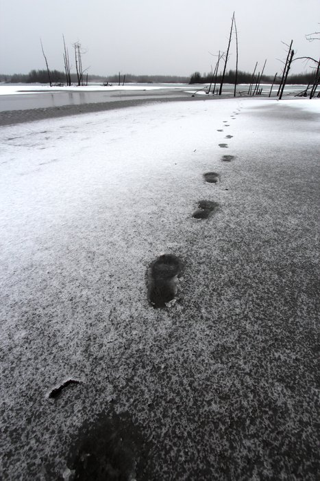 Changing season, with storms bringing sleet that often froze soon after, left us ready to head home.