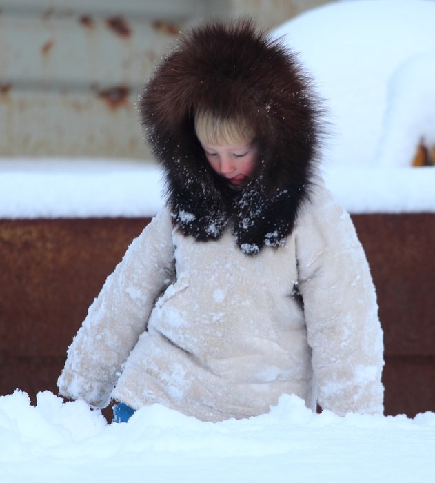 Katmai's tongue sticks out with concentration as he makes his way through waist-deep (on him) snow.