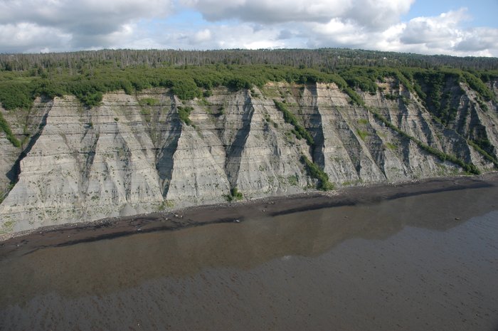 Coal seams line a bluff on Cook Inlet, and coal gravel colors the coastline.