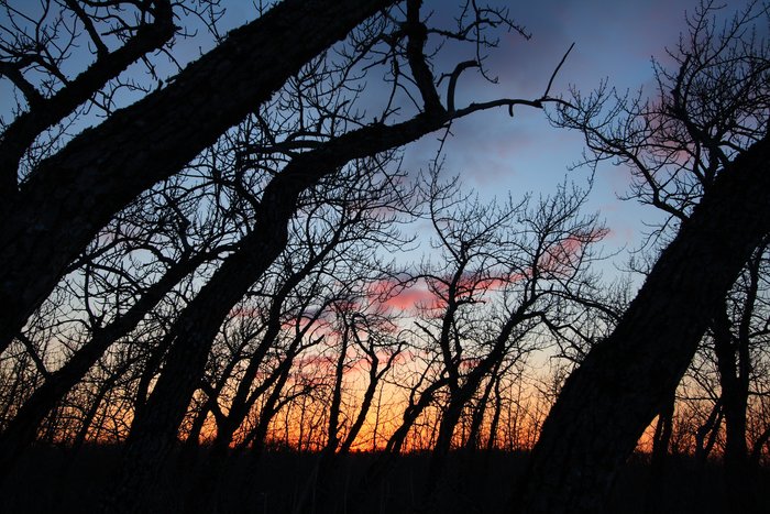 on the alaska peninsula