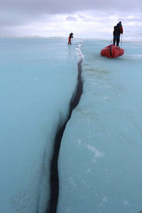 Katmai prepares to cross an open crack in the ice.