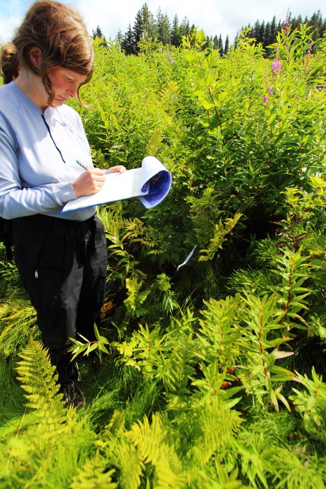 We recorded the array of plant species at several semi-randomly chosen locations.