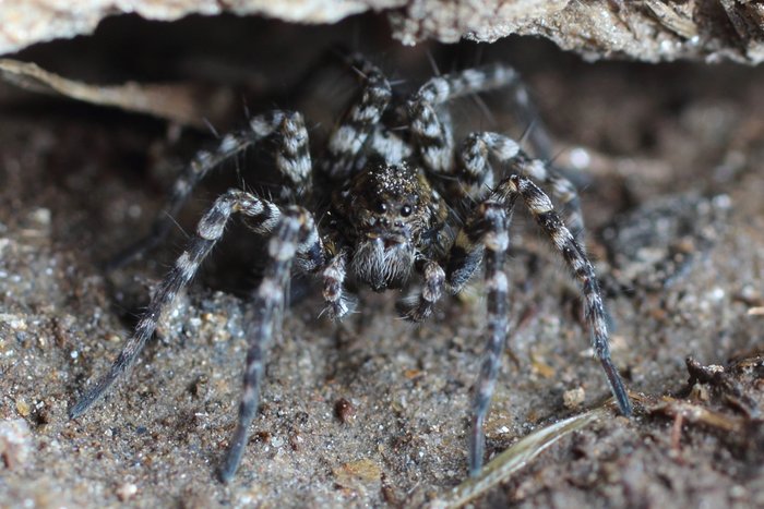 We took these while visiting Camp Denali.