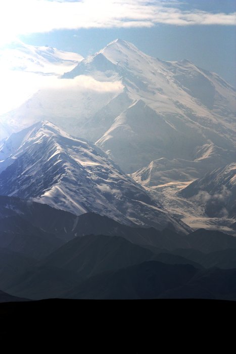 We took these while visiting Camp Denali.