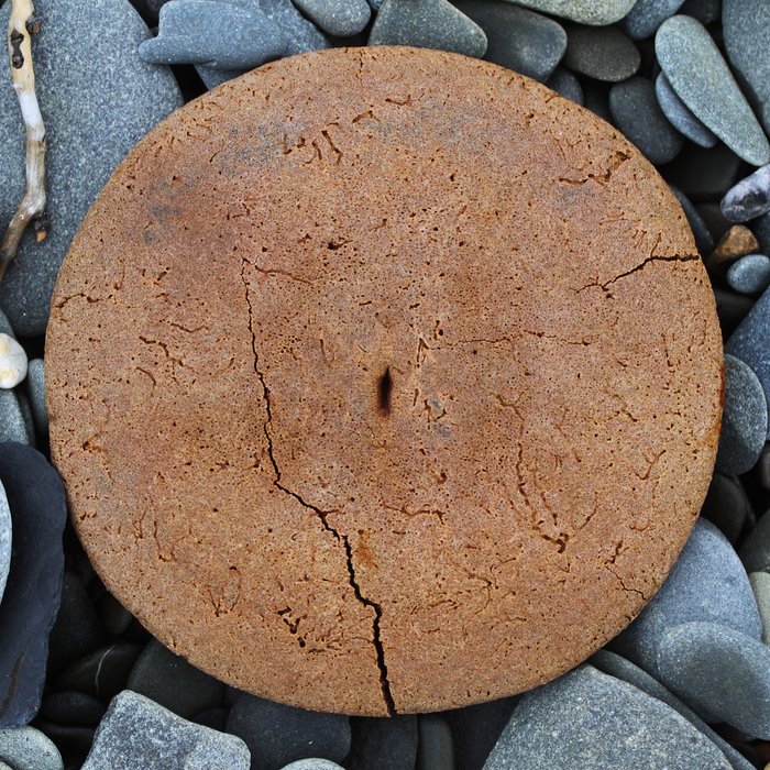 Having trouble with your back?  Maybe the doctor could fix you up with this sturdy whale disk.