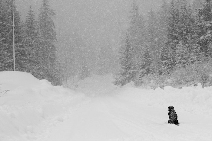 Are we going somewhere fun?  