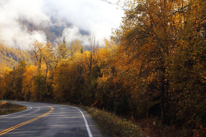 The road to Hanes, decorated for fall.