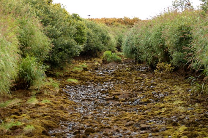 Parts of the Koktuli River can travel underground at dry times of year. Tailings lake area.