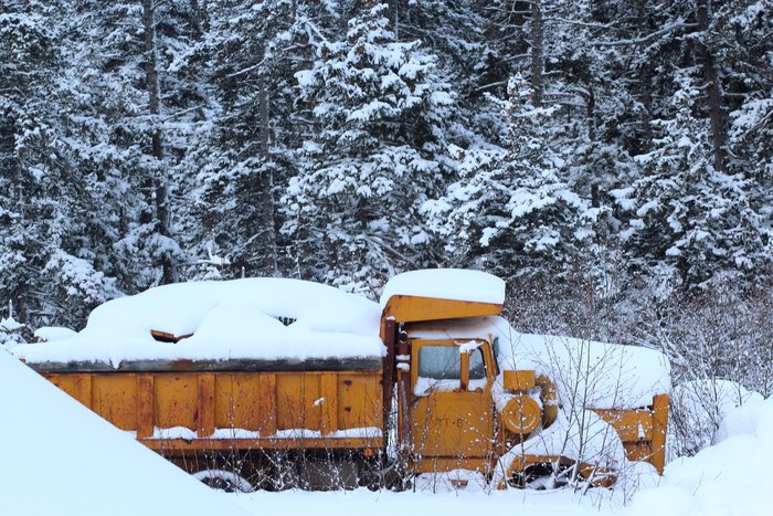 Katmai's favorite landmark, a long-dead dump truck at the edge of the clearcut