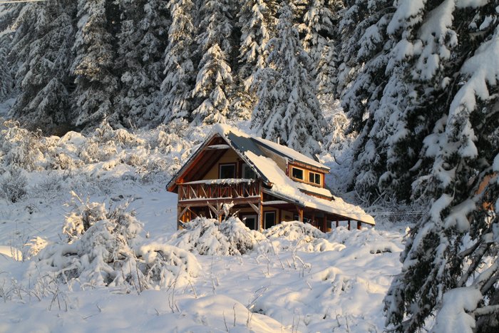 Winter arrived decisively at the beginning of November this year.