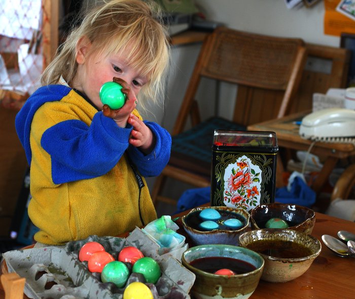 Katmai examines his easter egg