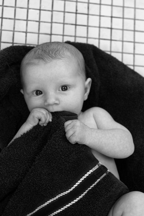 April photos from around Seldovia