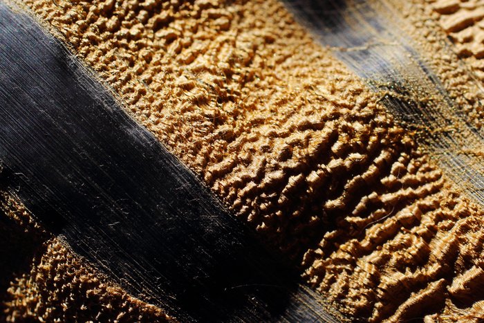 From a cartilaginous fish