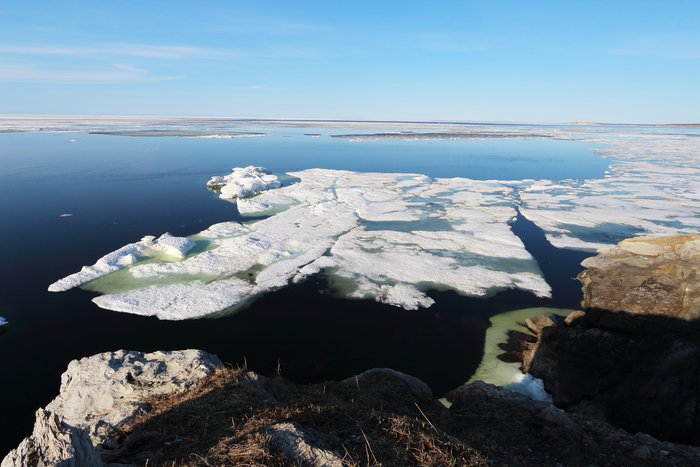 a few drifting pans of ice in late May on the Chukchi Sea