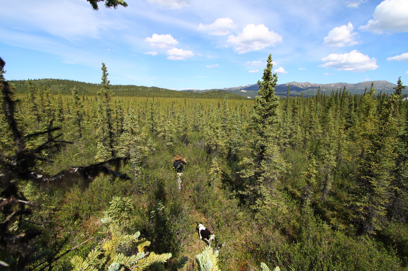 Healy CoaltoLiquids (CTL) Ground Truth Alaska