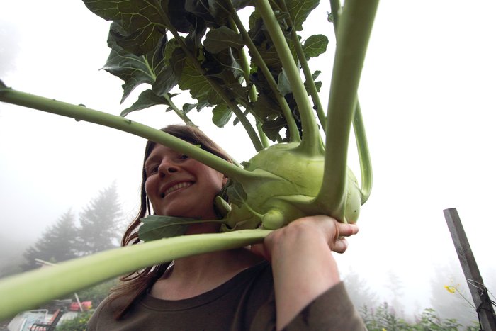 The time finally came to harvest this monster.