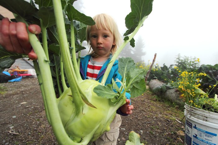 The time finally came to harvest this monster.