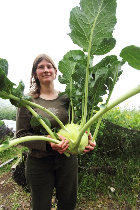 The time finally came to harvest this monster.
