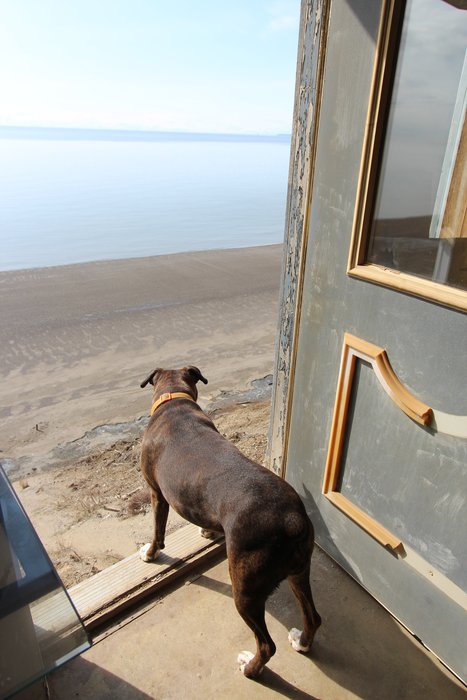 When 60 feet of land between it and the ocean vanished into storm waves, this house remained, at the edge of a 100 foot drop.
