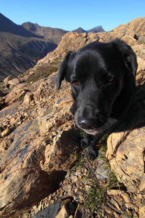 Panda was excited about the hike, but refused to go beyond the first hundred feet into the mine.
