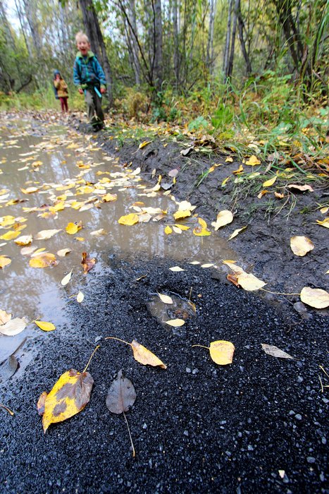 Fall colors and coal in a puddle along a rough road near the abandoned Buffalo Mine.