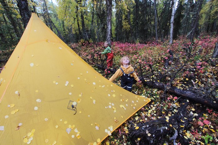 After a rainy fall night, our shelter is spotted by fall leaves.