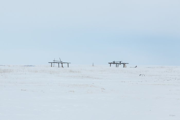 March, 2016 - Bjørn Olson and Kim McNett fat-biked from Nome to Kotzebue, then on to Kivalina.