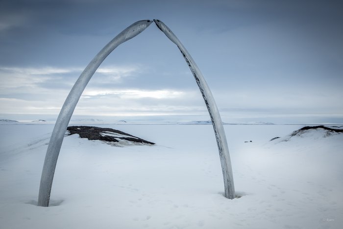 March, 2016 - Bjørn Olson and Kim McNett fat-biked from Nome to Kotzebue, then on to Kivalina.