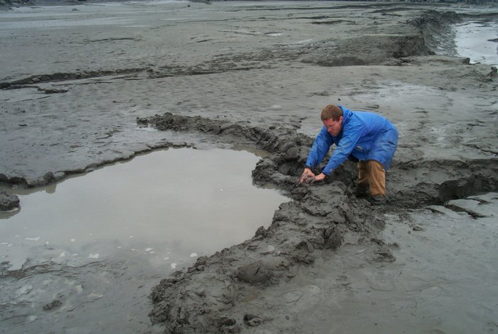 Clearly Andrew's contribution was key to our success.