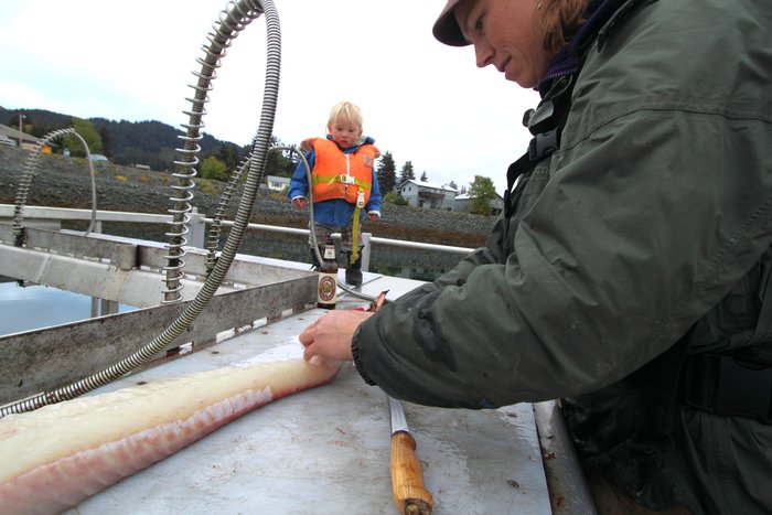Katmai watches Kari at work.