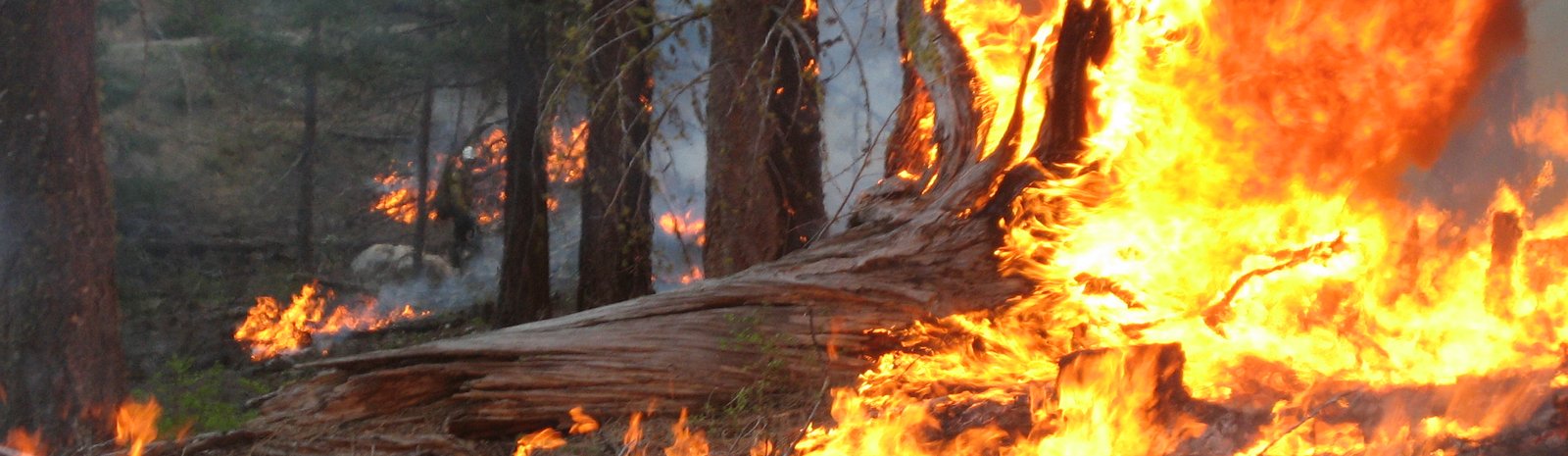 Wildfire in Alaska