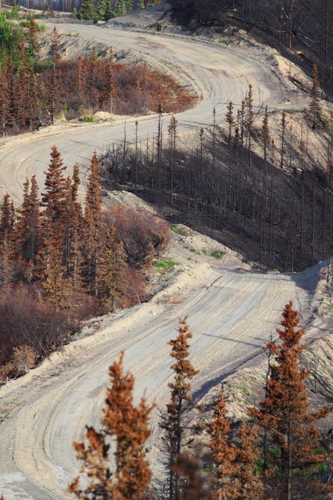 This ridge was the front line of a battle hard-fought against intense fire.