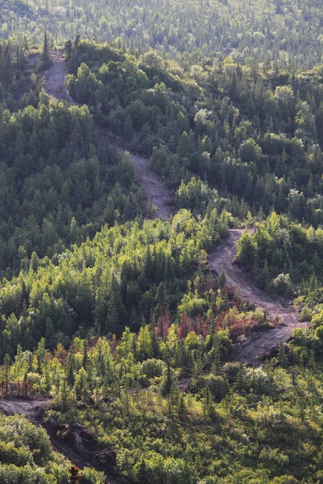 Fire fighters built this ridge-top fire line to defend against an assault that never came.