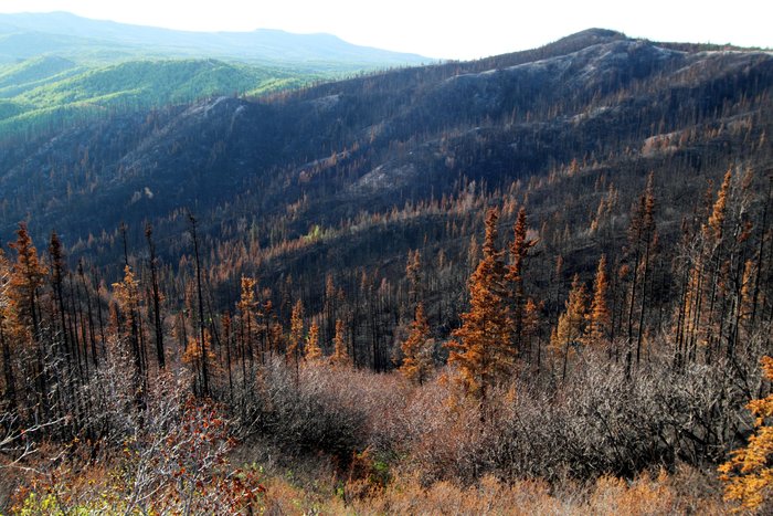 The fire rushed up this steep gorge.