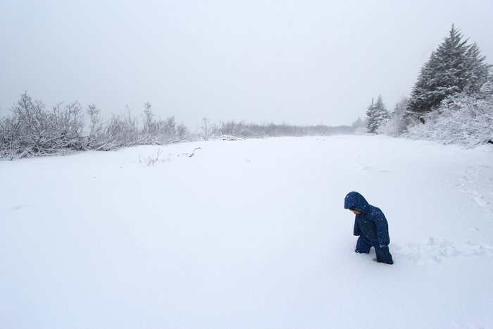 Six inches of snow covered the beach, and Katmai was fascinated.