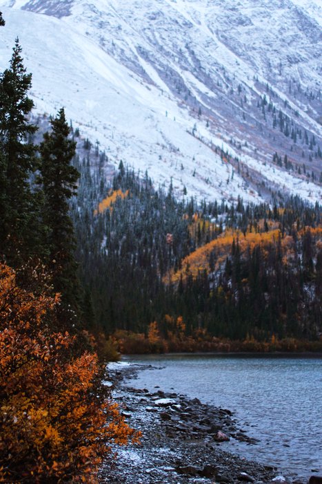 Snow works its way down the mountains, dusting the last of fall's colors.