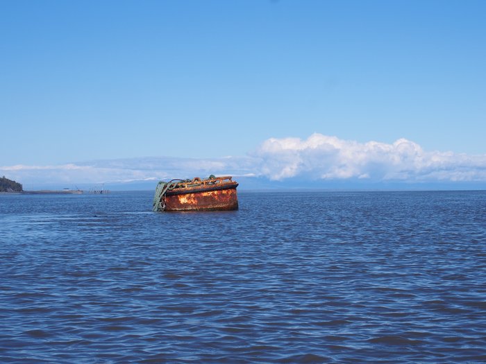 Floating debris