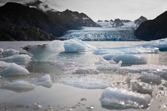 This floating ice was calved from Grewinck glacier, shown in the background