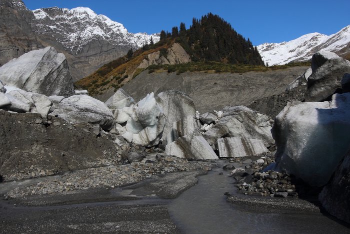 The stand of hundred-year-old trees on this ridge in the Samovar Hills seems out of place, but older trees appearing from beneath glacial till tell of another time when forest grew more widely heare.