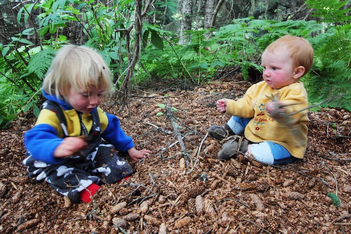 Katmai's face shows evidence of trying to climb into the squirrel's hole