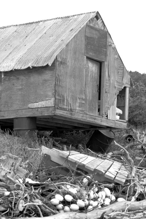 <a href="http://www.groundtruthtrekking.org/slideshows/Alaska-state-flower/">Alaska's State Flower</a> is what keeps civilization from sliding into the sea.