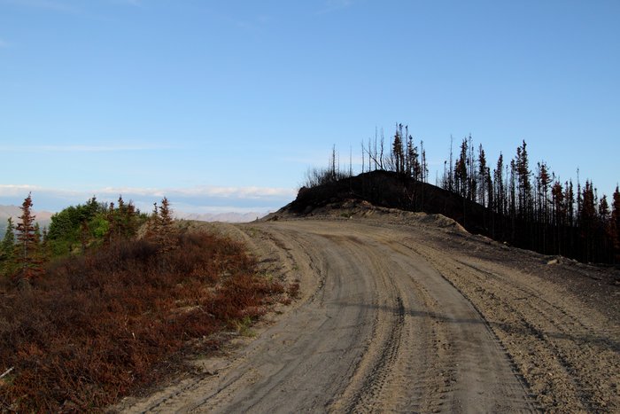 The fire was stopped at the road.