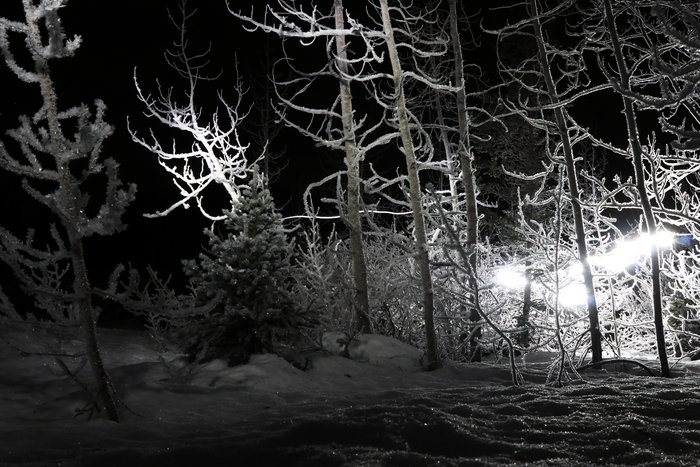 A long-exposure image of frost in the cold still air near Grewingk Lake, lit by headlamp.