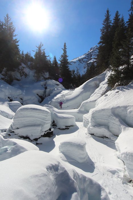 The river flowing down parallel to our trail in Tutka Valley does freeze up during winter cold-spells, however the ice was quite thin even after a protracted freeze.