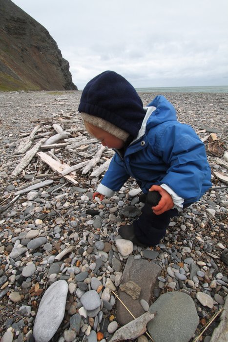 We never saw coal outcroppings along these beaches, but we did find chunks in the driftlines.